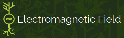 [Electromagnetic Field 2024]
