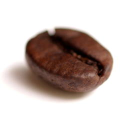 Coffee bean
